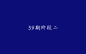 39期阶段二