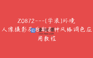 Z0872—[学浪]环境人像摄影及后期各种风格调色应用教程