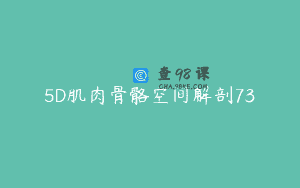5D肌肉骨骼空间解剖73