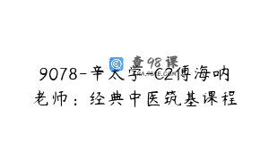 9078-辛太学-C2傅海呐老师：经典中医筑基课程
