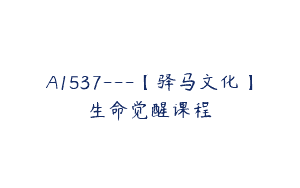 A1537—【驿马文化】生命觉醒课程