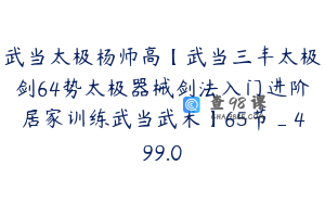 武当太极杨师高【武当三丰太极剑64势太极器械剑法入门进阶居家训练武当武术】65节_499.0