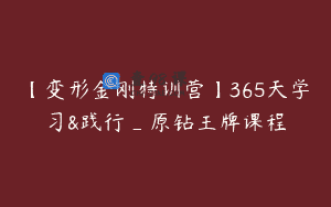 【变形金刚特训营】365天学习&践行_原钻王牌课程