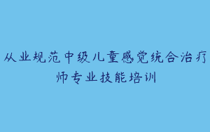 从业规范中级儿童感觉统合治疗师专业技能培训