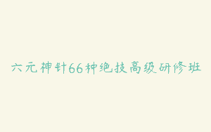 六元神针66种绝技高级研修班