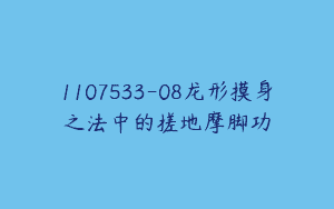 1107533-08龙形摸身之法中的搓地摩脚功