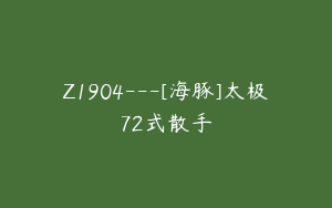 Z1904---[海豚]太极72式散手