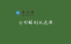 分形解剖优选课