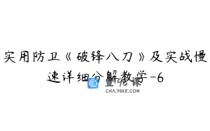 实用防卫《破锋八刀》及实战慢速详细分解教学-6