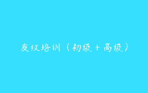 皮纹培训（初级＋高级）