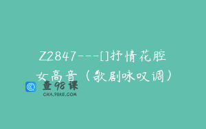 Z2847---[]抒情花腔女高音（歌剧咏叹调）