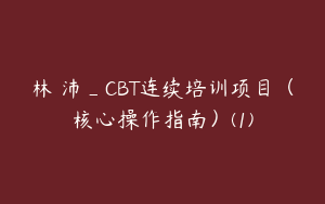 林旻沛_CBT连续培训项目（核心操作指南）(1)