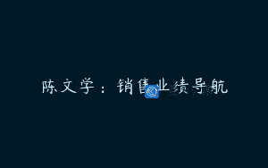 陈文学：销售业绩导航