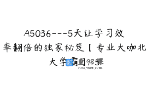 A5036—5天让学习效率翻倍的独家秘笈【专业大咖北大学霸】-5