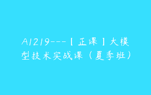 A1219—【正课】大模型技术实战课（夏季班）