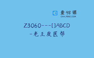 Z3060—[]ABCD-老王皮医帮