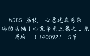 N585-荔枝_心意述真葛崇瑞的店铺【心意拳老三篇之_龙调膀_】1400921_5节
