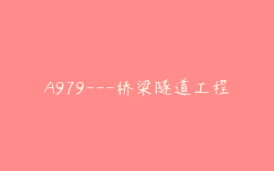 A979—桥梁隧道工程