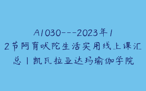 A1030—2023年12节阿育吠陀生活实用线上课汇总｜凯瓦拉亚达玛瑜伽学院