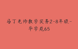 马丁老师教学实务2-8年级-华学苑65