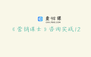 《营销谋士》咨询实战12