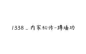 1338_内家秘传-蹲墙功