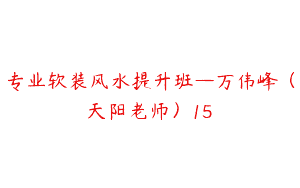 专业软装风水提升班—万伟峰（天阳老师）15
