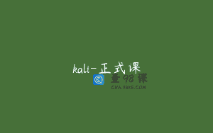 kali-正式课
