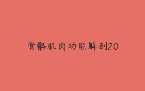 骨骼肌肉功能解剖20