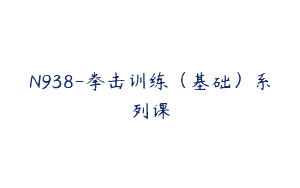 N938-拳击训练（基础）系列课