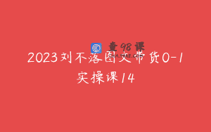 2023刘不落图文带货0-1实操课14