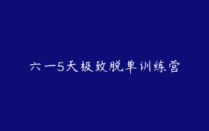 六一5天极致脱单训练营