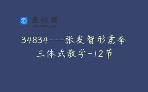 34834---张发智形意拳三体式教学-12节