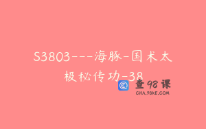 S3803---海豚-国术太极秘传功-38