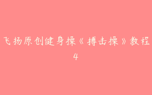 飞扬原创健身操《搏击操》教程4