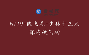 N119-陈飞龙-少林十三太保内硬气功