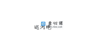 巡河炮