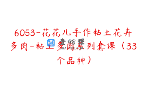 6053-花花儿手作粘土花卉多肉-粘土多肉系列套课（33个品种）