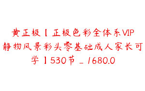 黄正极【正极色彩全体系VIP静物风景彩头零基础成人家长可学】530节_1680.0