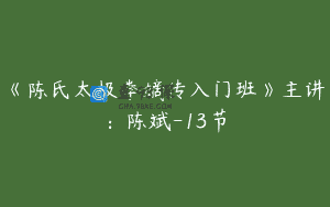 《陈氏太极拳嫡传入门班》主讲：陈斌-13节
