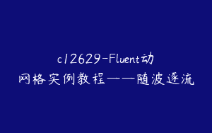 c12629-Fluent动网格实例教程——随波逐流