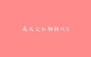 高成交私聊转化5