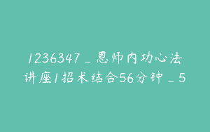 1236347_恩师内功心法讲座1招术结合56分钟_5