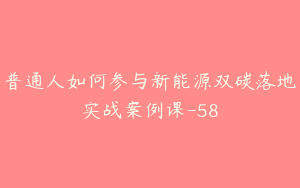 普通人如何参与新能源双碳落地实战案例课-58