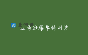 亚马逊爆单特训营