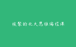 核聚的北大思维编程课