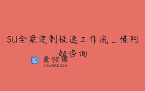 SU全案定制极速工作流_懂阿超咨询