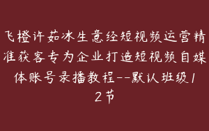 飞橙许茹冰生意经短视频运营精准获客专为企业打造短视频自媒体账号录播教程--默认班级12节