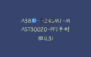 A383---24SM1-MAST30020-PFI平时班(L3)