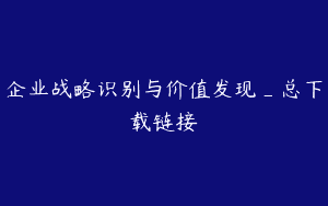 企业战略识别与价值发现_总下载链接
